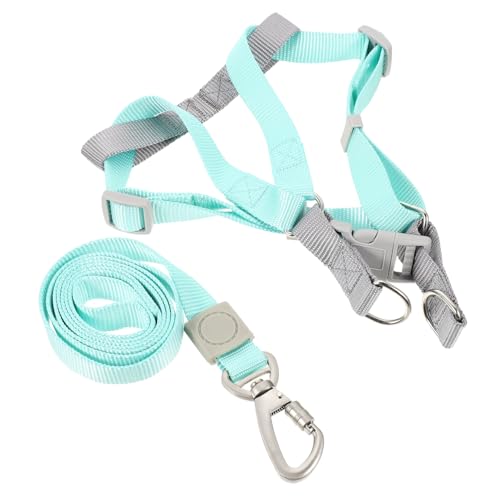 WEKAMOS Verstellbares Hundegeschirr und Leine Set für Welpen und Kleine Hunde Leichtes Mehrfarbiges Brustgeschirr mit D Ringen Einfach Anpassbar für Spaziergänge und Training WEKAMOS Verstellbares Hundegeschirr und Leine Set für Welpen und Kleine Hunde Leichtes Mehrfarbiges Brustgeschirr mit D Ringen Einfach Anpassbar für Spaziergänge und Training von WEKAMOS