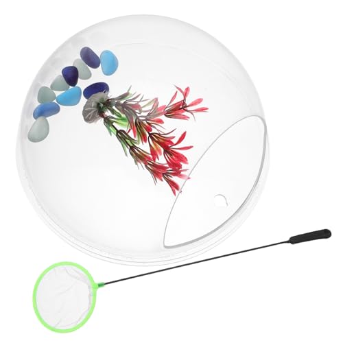 WEKAMOS Wandmontierter Fischvase Transparentes Hänge Aquarium mit Pflanzfunktion Multifunktionaler Wandblumentopf für Pflanzen und Kleine Fische Leicht und für Wohn und Bürodekoration von WEKAMOS