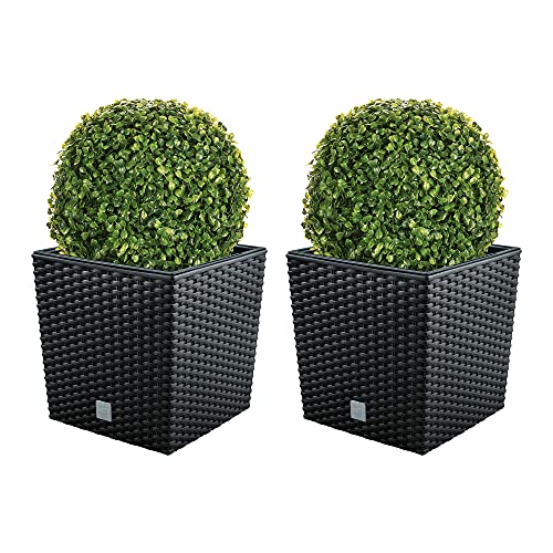 Doppel-Set Blumentopf Rato 32 Liter mit Pflanzkübel in Anthrazit 32 x 32 x 32,5 cm + Buchsbaumkugel Ø 27 cm von WELL HOME MOBILIARIO & DECORACIÓN