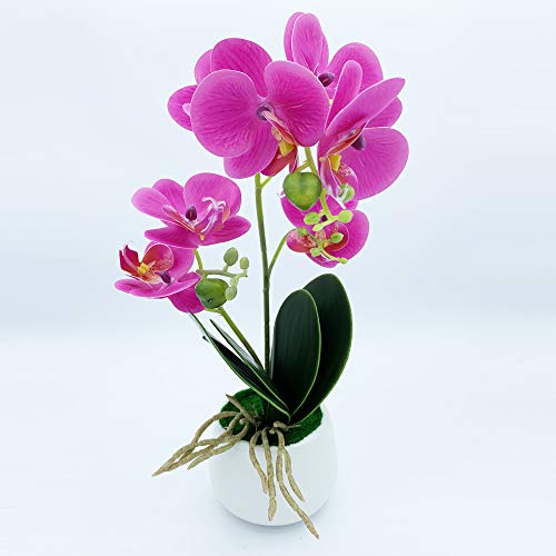 Orchidea -Pflanze mit natürlicher Takt von 42 cm in Fliederfarbe mit Keramik -Topf von WELL HOME MOBILIARIO & DECORACIÓN