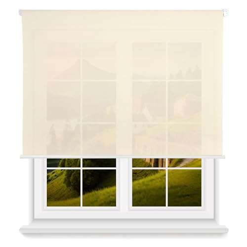 Rollo, lichtdurchlässig, glatt, Beige, 130 x 175 cm (B x L) / Stoffgröße 127 x 170 cm von WELL HOME MOBILIARIO & DECORACIÓN