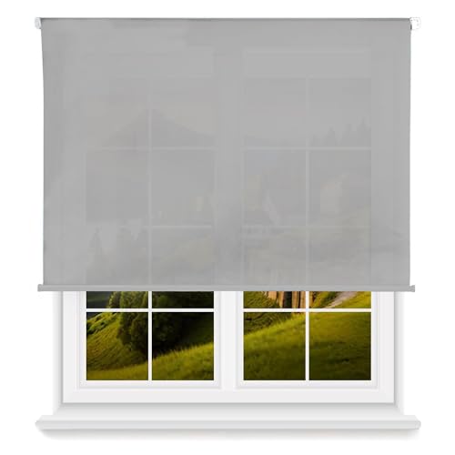Rollo, lichtdurchlässig, glatt, Grau, 120 x 175 cm (B x L) / Stoffgröße 117 x 170 cm von WELL HOME MOBILIARIO & DECORACIÓN