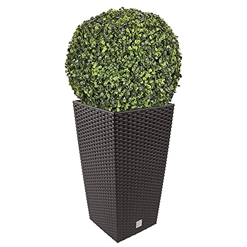 WELL HOME MOBILIARIO & DECORACIÓN Blumentopf-Set + Buchsbaum-Pflanze dunkel WELL HOME MOBILIARIO & DECORACIÓN Blumentopf-Set + Buchsbaum-Pflanze dunkel von WELL HOME MOBILIARIO & DECORACIÓN