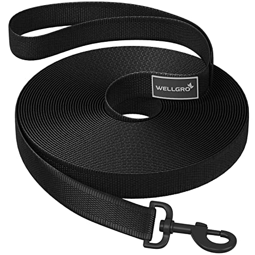 WELLGRO Schleppleine für Hunde mit Handschlaufe 3m / 5m / 10m / 15m / 20m / 25m / 30m Hundeleine robust Nylon Metallkarabiner Trainingsleine, Größen:30 Meter von WELLGRO