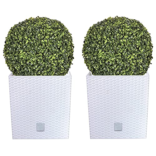 Doppel-Set Rato 32 Liter mit Pflanzkübel in Weiß 33 x 33 x 33 cm + Buchsbaumkugel Ø 36 cm von WELL HOME MOBILIARIO & DECORACIÓN