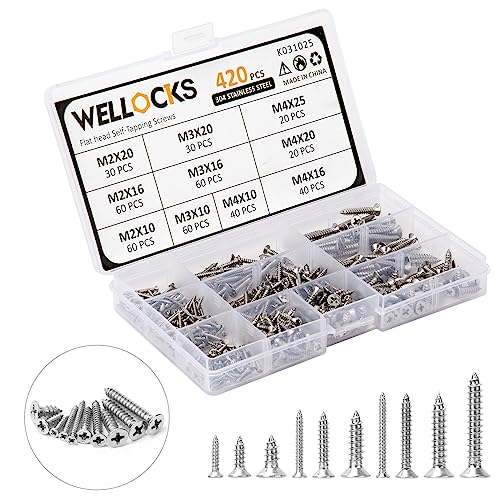 WELLOCKS 420PCS 304 Edelstahl schrauben set, M2/M3/M4 Edelstahlschrauben Schrauben Sortiment Set, flacher Kopf Holzschraube Kit mit Aufbewahrungsbox für Hausgemachte, Reparatur(K031025) von WELLOCKS