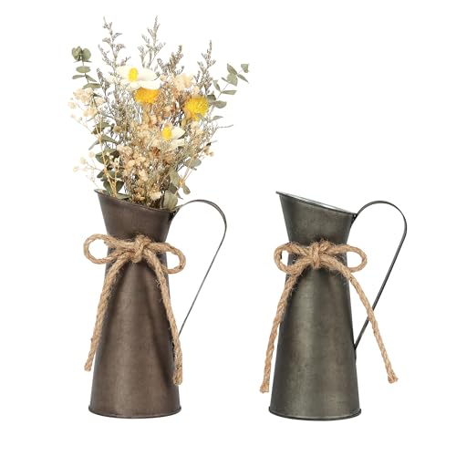 WELTOKE 2 Stück Vintage Deko Metall Blumenvase Set, Retro Deko Milchkanne, Rustikale Deko Blumentopf im Shabby Chic Vintage, Landhausstil Vase für Hochzeitsdeko/Garten Tischdeko Wohnzimmer & Balkon von WELTOKE