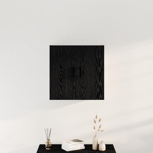 Moderner Eichenschrank mit Stauraum, schwarzer Schrank für Wohnzimmer und Büro, Elegantes Design mit glatter Oberfläche, multifunktional und langlebig. von WEMYUFURN