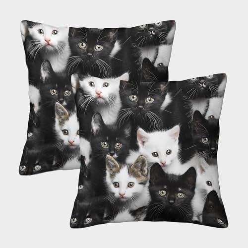 WENCIUEOL Cute Cat Weicher Pet Cat Kitty Lovely Kissenbezug, Quadratische Form Im 2er Set, Perfekt Für Stylish Accessory Und Pet Corner, Maschinenwaschbar 50x50cm WENCIUEOL Cute Cat Weicher Pet Cat Kitty Lovely Kissenbezug, Quadratische Form Im 2er Set, Perfekt Für Stylish Accessory Und Pet Corner, Maschinenwaschbar 50x50cm von WENCIUEOL