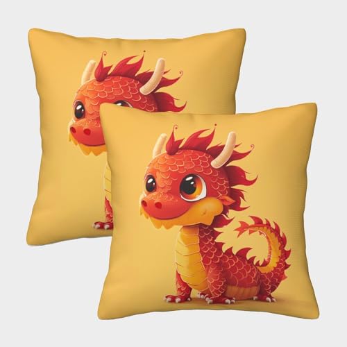 WENCIUEOL Loong Quadratische Lovely Cartoon Doll Kissenbezüge Im 2er-Set, Ideal Für Living Room Accent Und Outdoor Leisure, Leicht Zu Reinigen 50x50cm von WENCIUEOL