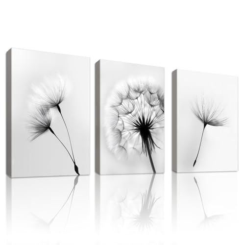 WENGTIAO 3 Stück Löwenzahn Leinwand Bilder Kunstdrucke Gerahmtes Bild Schwarz Weiß Floral Gemälde auf Leinwand Moderne Minimalistisch Wandbilder für Wohnzimmer Schlafzimmer Wanddeko 30x40cmx3 von WENGTIAO