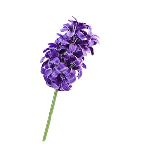 WENH 10 Stücke Künstliche Seidenblume Hyazinthe Hochzeitssaal Anordnung Road Guide Gefälschte Delphinium Blumen Home Zimmer Dekoration(Purple Blue) von WENH