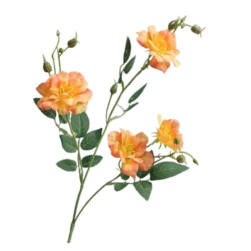 WENH 10Pcs Künstliche Seide Rose Blumen Hause Dekoration Gefälschte Pfingstrose Braut Bouquet Hochzeit Rosen Party Blumen Anordnung(Orange) von WENH