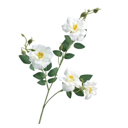 WENH 10Pcs Künstliche Seide Rose Blumen Hause Dekoration Gefälschte Pfingstrose Braut Bouquet Hochzeit Rosen Party Blumen Anordnung(White) von WENH