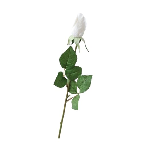WENH 15 Stück feuchtigkeitsspendende Rose Blume Real Touch künstliche Blumen Brautstrauß Hochzeit Dekor gefälschte Rosen Party Floral Home(White) von WENH