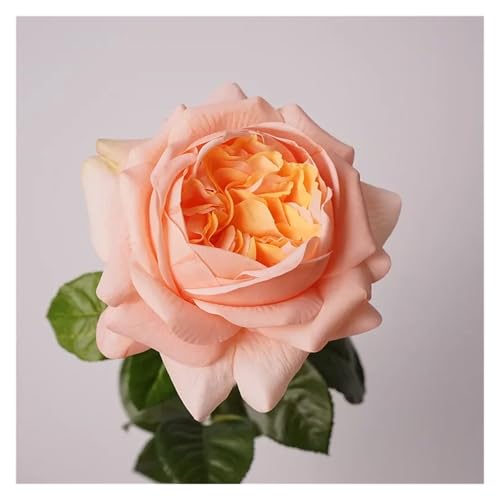 WENH 5 Stück Feel Moist Austin Latex Rose Real Touch Künstliche Blumen Luxus Home Dekoration Party Event Hochzeit Rosen Blumenstrauß(Orange Yellow) von WENH