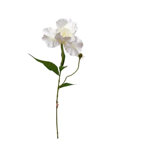 WENH 5 Stück große künstliche Schaumblumen Iris Hochzeitsdekor Blumenarrangement Home Raumdekoration Zubehör Party Blumenstrauß(White) von WENH