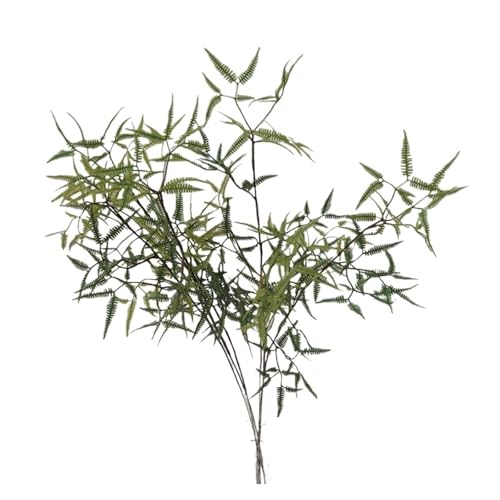 WENH 5 Teile/los Künstliche Pflanzen Farne Blatt Hause Dekoration Zubehör Gefälschte Grün Garten Hochzeit Hintergrund Decor Party Floral von WENH