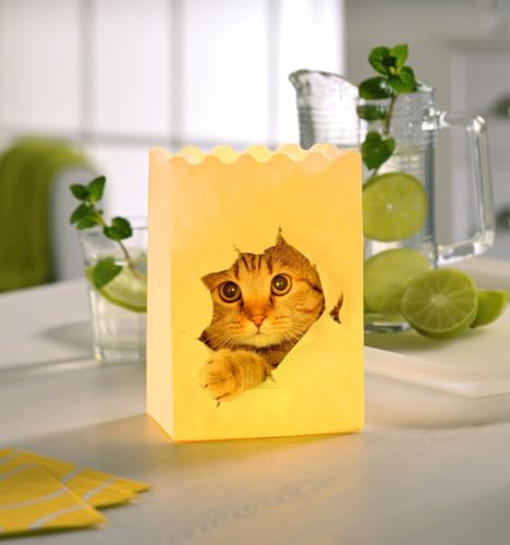 LUMINARIA Lichtertüte Katze - 4-teilig, Windlicht, Papier, 9 x 26 x 15 cm, Mehrfarbig Lichttüten Candlebags Dekoration Licht Teelichthalter von WENKO