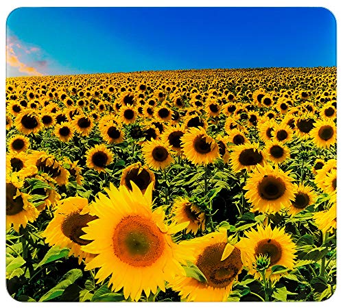 WENKO Multi-Platte Sonnenblumenfeld - für Glaskeramik Kochfelder, Schneidbrett, Gehärtetes Glas, 56 x 0.5 x 50 cm, Mehrfarbig von WENKO
