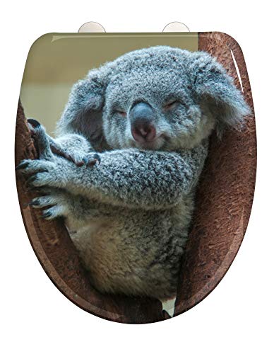 WENKO WC-Sitz Koala, hygienischer Toilettendeckel mit Absenkautomatik, Toilettensitz aus bruchsicherem, antibakteriellem Duroplast, Schnellbefestigung aus rostfreiem Edelstahl, 38 x 45 cm, Koala-Motiv von WENKO
