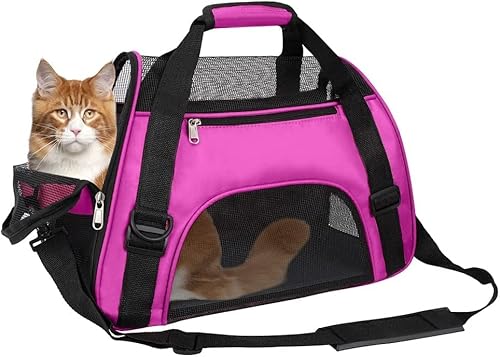 WENNEWU Transportbox FüR Katzen Und Hunde, Von Fluggesellschaften Zugelassene Transportboxen FüR Katzen, Geeignet FüR Reisen, Wandern Und Outdoor-Einsatz,Magenta,Small von WENNEWU