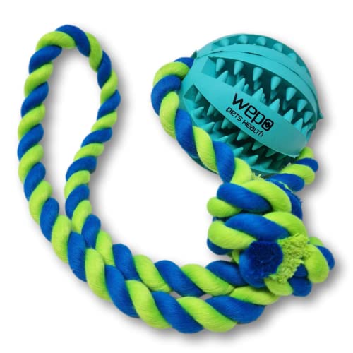 WEPO Hundespielzeug Ball mit Seil Türkis Ø7cm - Zahnpflege Ball Hund - Beschäftigung Hund - Ziehspielzeug Hund für draußen & drinnen - Mit Leckerlifunktion - Strick Blau/Grün von WEPO