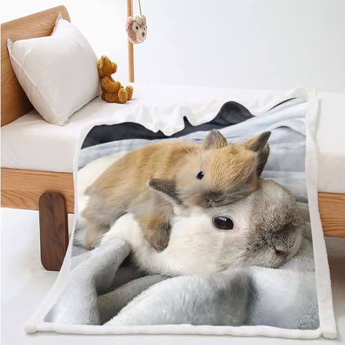 WEQEER kuscheldecke mit hase, Süßer Hase Druck Flauschige Fleecedecke Für Kinder, Märchen Tier Sofadecke Für Jungen Und Mädchen Kinde (5,100x140cm) von WEQEER