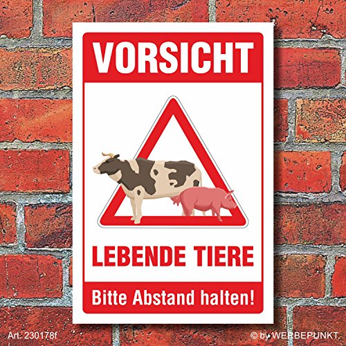 Schild Lebende Tiere Abstand halten Tiertransport Warnschild 3 mm Alu-Verbund 600 x 400 mm von WERBEPUNKT.