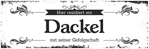 Schild Vintage Shabby Geschenk Holzschild Hundeschild Dackel Türschild von WERBEPUNKT.