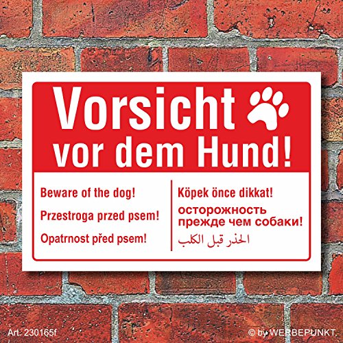 Schild Vorsicht vor dem Hund mehrsprachig englisch polnisch arabisch Alu-Verbund 300 x 200 mm von WERBEPUNKT.