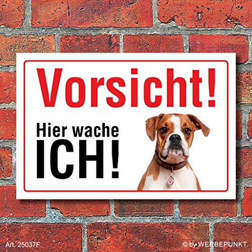 Vorsicht "Hier wache ich", Boxer, Hund, Schild, Hinweis, 3 mm Alu-Verbund Motiv 1 300 x 200 mm von WERBEPUNKT.