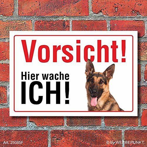 Vorsicht "Hier wache ich", Schäferhund, Hund, Schild, Hinweis, 3 mm Alu-Verbund Motiv 1 300 x 200 mm von WERBEPUNKT.