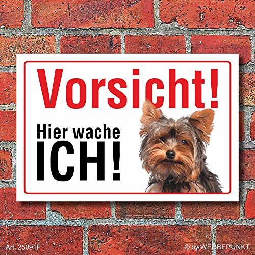 Vorsicht "Hier wache ich", Yorkshire Terrier, Hund, Schild, Hinweis, 3 mm Alu-Verbund Motiv 1 300 x 200 mm von WERBEPUNKT.