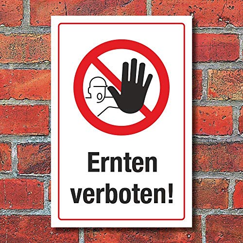 WERBEPUNKT. Schild Ernten verboten Diebstahl Hinweisschild 3 mm Alu-Verbund 450 x 300 mm von WERBEPUNKT.