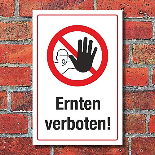 WERBEPUNKT. Schild Ernten verboten Diebstahl Hinweisschild 3 mm Alu-Verbund 450 x 300 mm WERBEPUNKT. Schild Ernten verboten Diebstahl Hinweisschild 3 mm Alu-Verbund 450 x 300 mm von WERBEPUNKT.