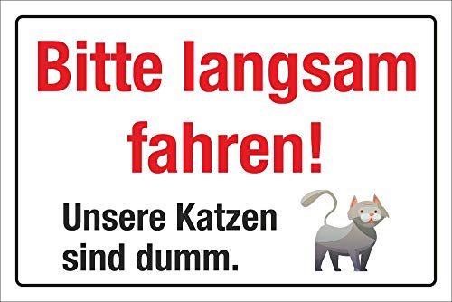 WERBEPUNKT. Schild Hinweisschild Bitte Langsam Fahren Katze ist dumm 3 mm Alu-Verbund 450 x 300 mm von WERBEPUNKT.
