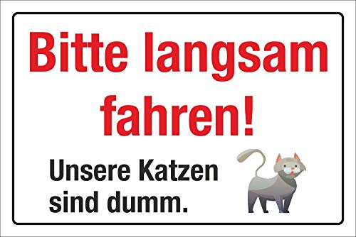 WERBEPUNKT. Schild Hinweisschild Bitte Langsam Fahren Katze ist dumm 3 mm Alu-Verbund 600 x 400 mm von WERBEPUNKT.