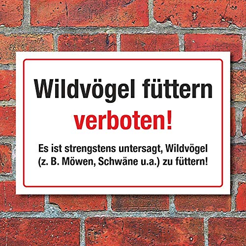 WERBEPUNKT. Schild Wildvögel füttern verboten Möwen Schwäne Hinweisschild 3 mm Alu-Verbund 300 x 200 mm von WERBEPUNKT.