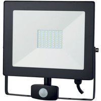 Werka Pro - Flacher LED-Radarprojektor 50 Watt (56 LEDs, 4000 Lumen) von WERKA PRO