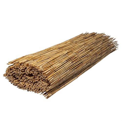 WERKA PRO Schilfrohrmatte 1,5 x 5 m WERKA PRO Schilfrohrmatte 1,5 x 5 m von WERKA PRO