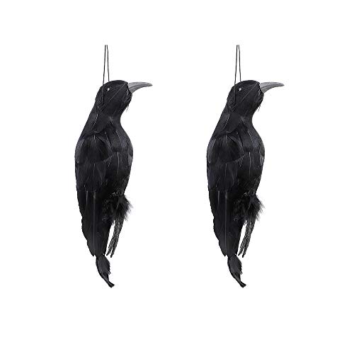 WERTSWF 2 Stück tote Krähe Halloween Requisite, gruselige hängende Krähen Lockvogel schwarz gefiederter Rabe für Garten Spukhaus Grab von WERTSWF