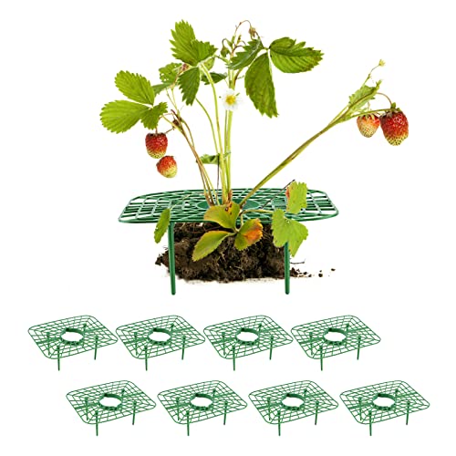 WERTSWF Erdbeerstützen, für Erdbeeren, aus Kunststoff, mit 4 Beinen, zur Erhöhung von Obst/Gemüse, 8 Stück von WERTSWF