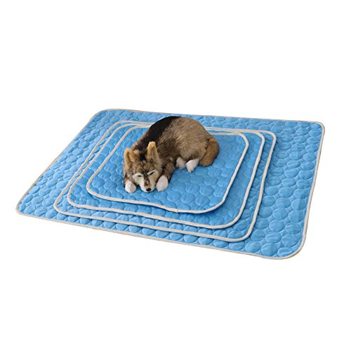 WERTSWF Kühlmatte für Haustiere, selbstkühlende Matte für Hunde, Eisseide, Kühldecke für Hundehütten, Kisten, Betten im Sommer – 100 x 70 cm von WERTSWF