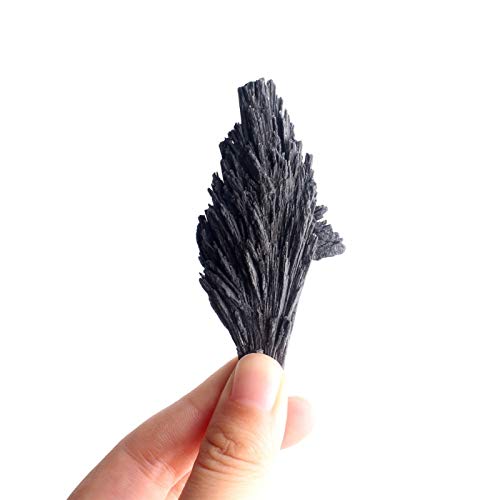 WERWER Natürliche raue Schwarze Kyanit Rohe Quarz Kristall Pfau Schwanzform Dekor Mineralien Exemplar Grobstein DIY Geschenk (Color : Tourmaline 16 30g) von WERWER