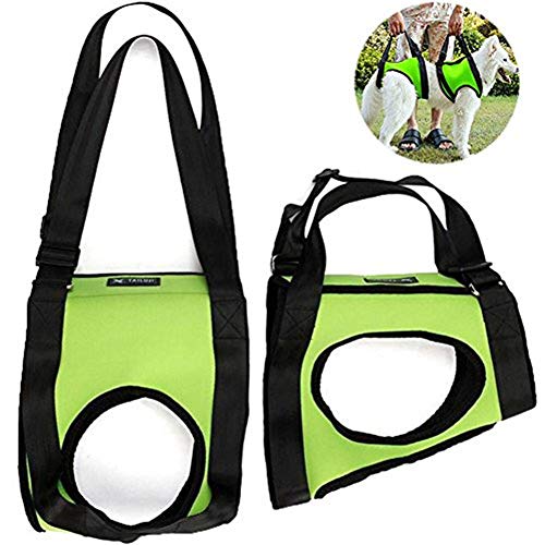 WESDOO Tragehilfe Hund Tragehilfe Für Hunde Hundetragling Hundelift Unterstützung Hüftstütze für Hunde Pet Sling Carrier Green,Front-Leg-l von WESDOO