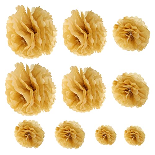 WESIEVYA 10stücke Teiliges Papier Pompons Dekorative Blumenbälle Für Hochzeiten Geburtstagsfeiern Und Babypartys Leicht Reißfest Und Einfach Zu Dekorieren WESIEVYA 10stücke Teiliges Papier Pompons Dekorative Blumenbälle Für Hochzeiten Geburtstagsfeiern Und Babypartys Leicht Reißfest Und Einfach Zu Dekorieren von WESIEVYA