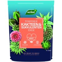 Westland Kakteen Sukkulenten Erde torffrei 4 L Westland Kakteen Sukkulenten Erde torffrei 4 L von WESTLAND