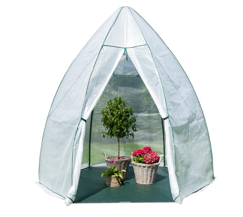 WESTMANN Überwinterungszelt Avocado | 250x250x250 cm | Pflanzenschutz & Foliengewächshaus zum Überwintern von Pflanzen WESTMANN Überwinterungszelt Avocado | 250x250x250 cm | Pflanzenschutz & Foliengewächshaus zum Überwintern von Pflanzen von WESTMANN