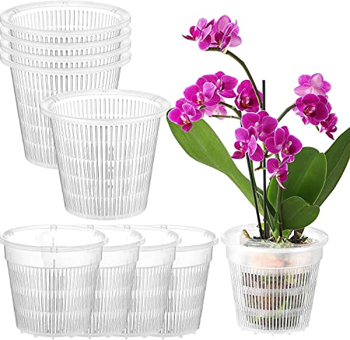 WEZOSHINET 10 Stück Orchideentopf – Orchideentöpfe mit Löchern, 14 cm Klarsicht Orchideentöpfe zum Umtopfen, Kunststoff-Blumentopf für drinnen und draußen von WEZOSHINET